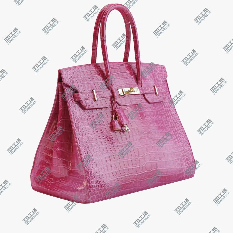 images/goods_img/20210319/Hermes - Birkin Crocodile Bag/1.jpg